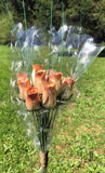 One Dozen Wood Rose Bouquet, Ivory/Brown