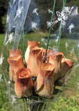 One Dozen Wood Rose Bouquet, Ivory/Brown