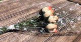 One Dozen Wood Rose Bouquet, Ivory/Orange