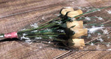 One Dozen Wood Rose Bouquet, Ivory