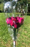 One Dozen Wood Rose Bouquet, Hot Pink & Hot Pink/Purple