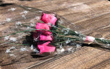 One Dozen Wood Rose Bouquet, Pink/Hot Pink