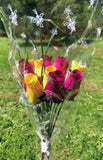 One Dozen Wood Rose Bouquet, Violet & Yellow