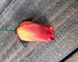 Orange & Burgundy Wooden Rosebud (price per stem)