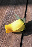 Yellow Wooden Rosebud (price per stem)