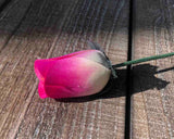 Ivory & Hot Pink Wooden Rosebud (price per stem)