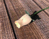 Ivory Wooden Rosebud (price per stem)