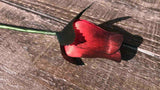 Red & Black Wooden Rosebud (price per stem)