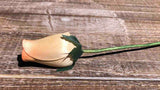 Ivory & Orange Wooden Rosebud (price per stem)