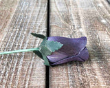 Black Wooden Rosebud (price per stem)