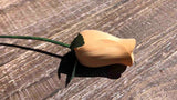 Peach Wooden Rosebud (price per stem)