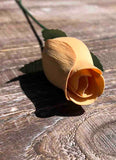 Peach Wooden Rosebud (price per stem)