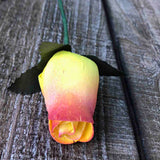 Yellow & Plum Wooden Rosebud (price per stem)