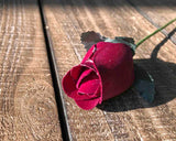 Dark Burgundy Wooden Rosebud (price per stem)