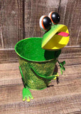 Frog Planter