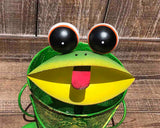 Frog Planter