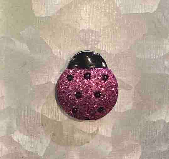 Ladybug Mini Magnet or Cover Minder