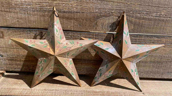 Rosehip Metal Star Ornament - 2 Styles