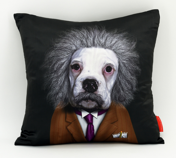 Brain Dog Pets Rock Throw Pillow