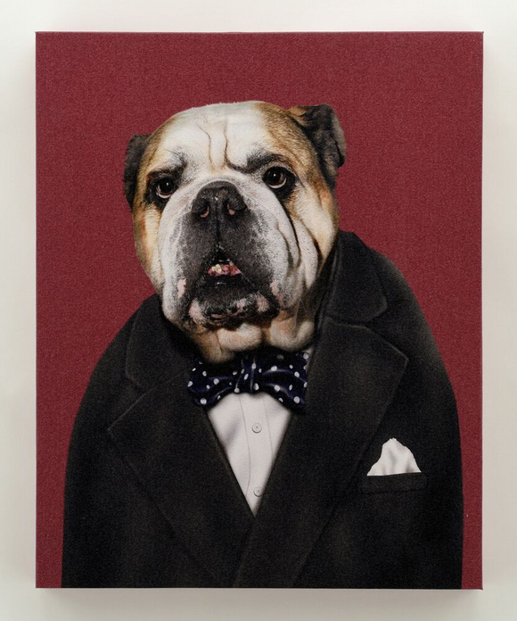 Leader English Bulldog Pets Rock Giclee Canvas Wall Art